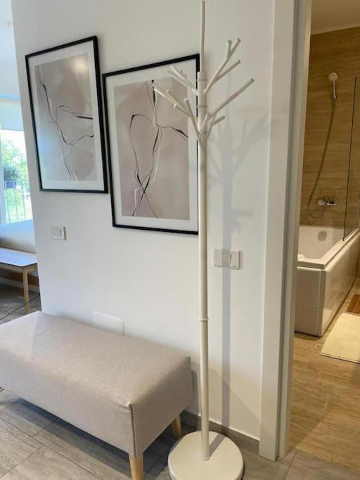 Shi Ti Junior Suite Iasi Exterior photo